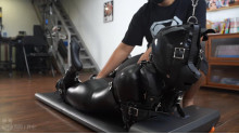 Fitness Puppy Withstand electric shock and Breathplay On the treadmill